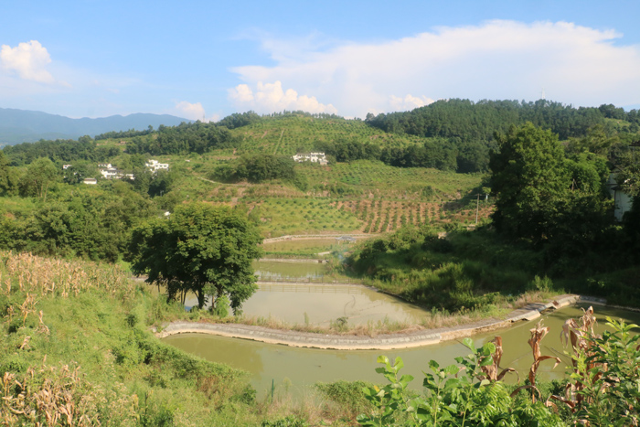 请游客自觉遵守参观秩序，服从景区工作人员现场引导